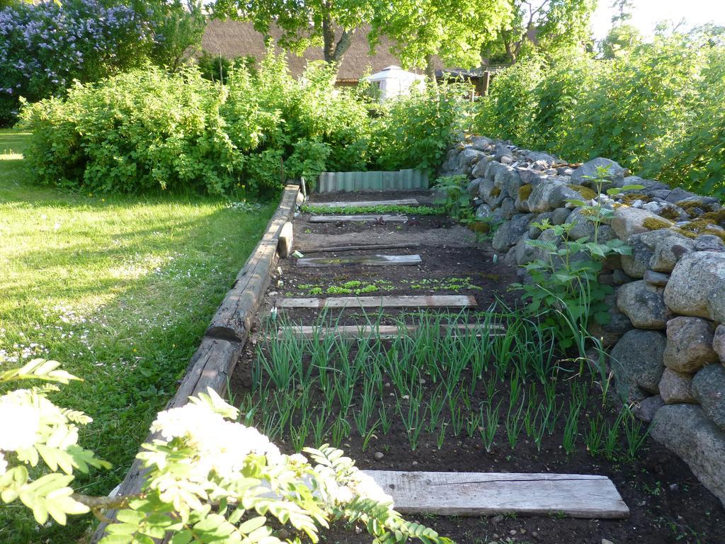Willa Jurna Recreation Farm Upa Zewnętrze zdjęcie